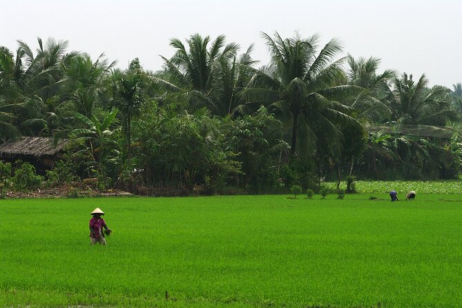 Adventure Cu Chi Tunnels and Mekong Delta Tour From HCM - Timing Reality: A Long Day with Two Distinct Moods