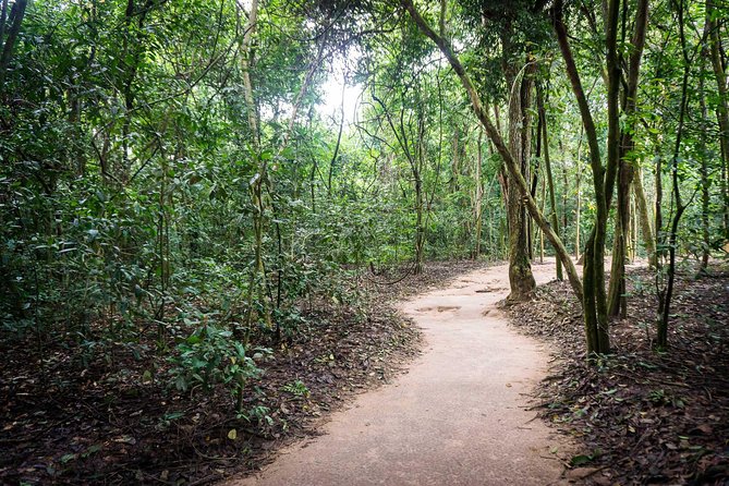 Afternoon Cu Chi Tunnels - Small Group Half-Day Tour - What you’ll see underground: living areas, hospitals, factories, and command centers