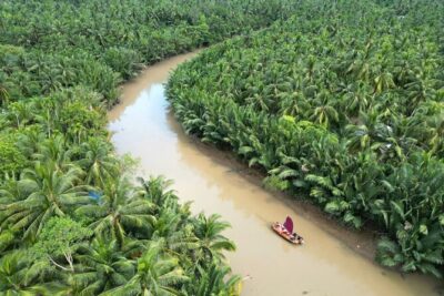 Ben Tre Mekong Zig Zag: Scooter, Sailboat, and Food (Full day) - Why this tour makes sense for $59 (and what that price covers)