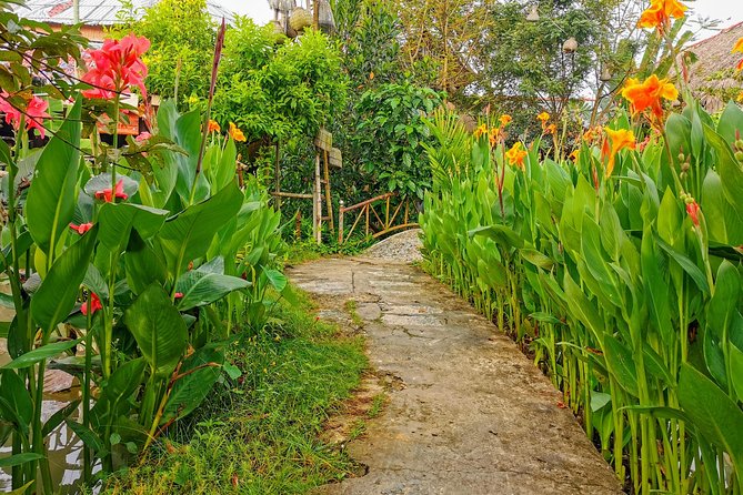 Cai Be Village - One-Day Mekong Delta Adventure - Lunch at Tan Thai Island: A Vietnamese Set Menu in a Farmstay