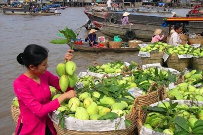Cai Rang Floating Market & Mekong Delta 2-Day Tour from HCM City - Hotel night in Can Tho: good value, small trade-offs