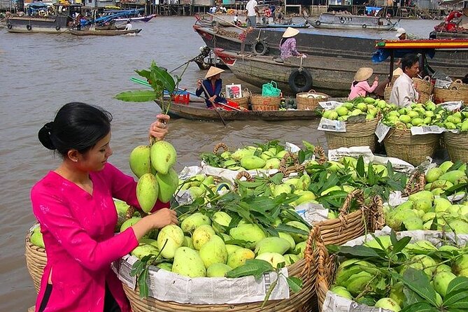 Cai Rang Floating Market & Mekong Delta 2-Day Tour from HCM City - Hotel night in Can Tho: good value, small trade-offs