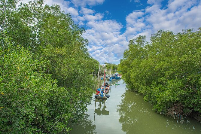 Can Gio Mangrove Forest 1 day tour - District 1 pickup and the long ride to Can Gio