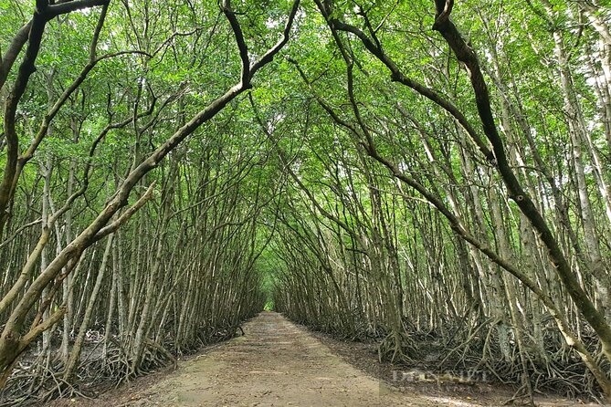 Can Gio Mangrove Forest 1 day tour - The Vietnamese base stop: war history told on the water