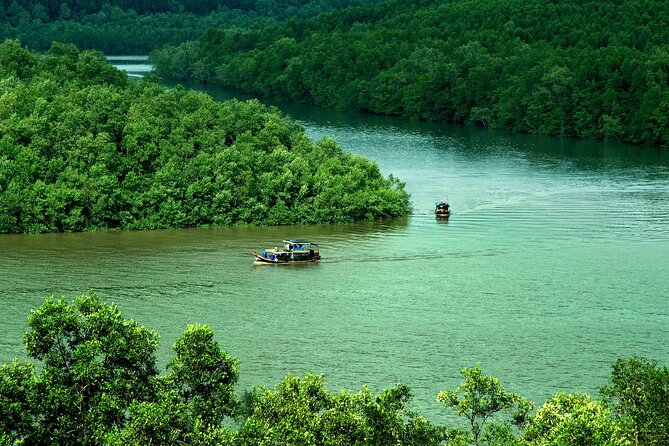 Can Gio Mangrove Forest 1 day tour - Dan Xay bridge pier sugar cane juice and first river views