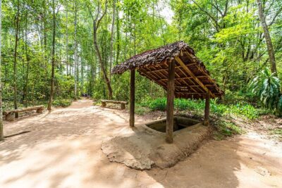Cu Chi Tunnels and Mekong Delta 1 Day Tour from Ho Chi Minh City - Morning pickup and the ride out of Ho Chi Minh City