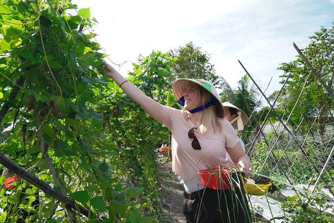 Explore Vietnamese Cuisine: Cooking Class from Ho Chi Minh City - Price and value: why $70 can make sense for a private class