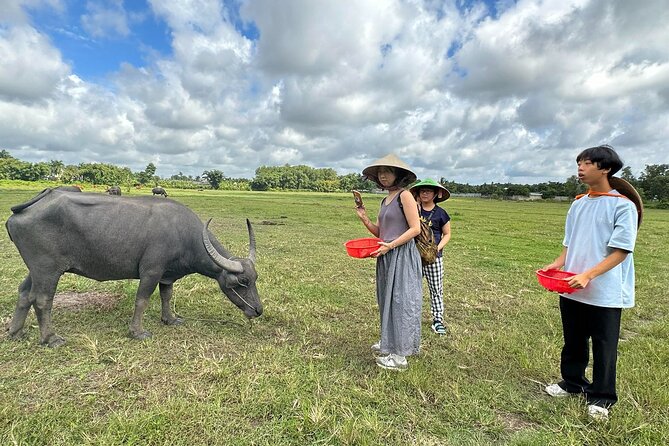 Exploring organic farm & Vietnamese Culinary with Master chef - Key highlights to look for