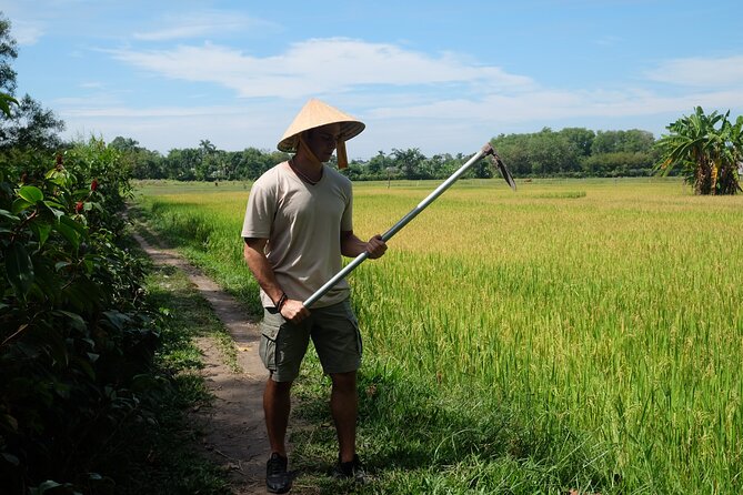 Exploring organic farm & Vietnamese Culinary with Master chef - The food you’ll eat and cook: brunch, lunch, and ingredients included
