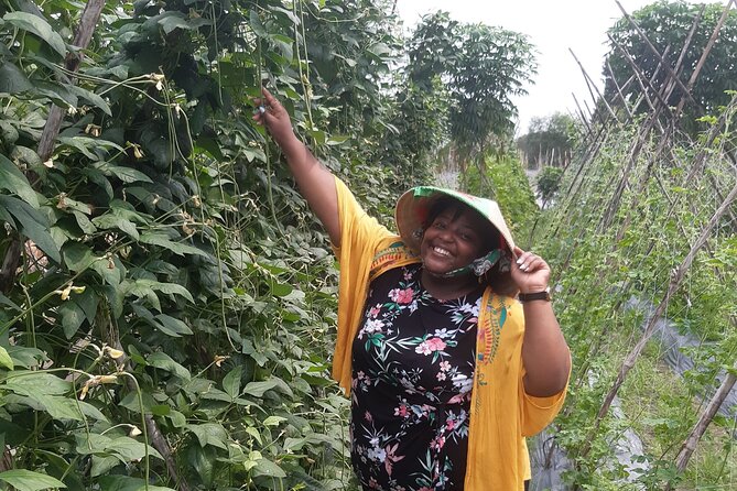 Exploring organic farm & Vietnamese Culinary with Master chef - Harvesting lessons: herbs, vegetables, mushrooms, and farm animals