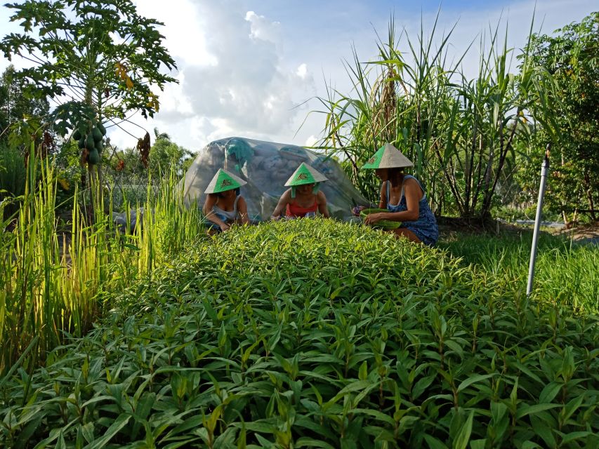 Farm-To-Table Healthy Cooking Class: Half-Day Tour - Key points worth knowing before you go