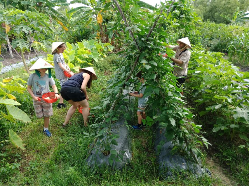 Farm-To-Table Healthy Cooking Class: Half-Day Tour - The cooking class itself: you’ll cook, not just taste