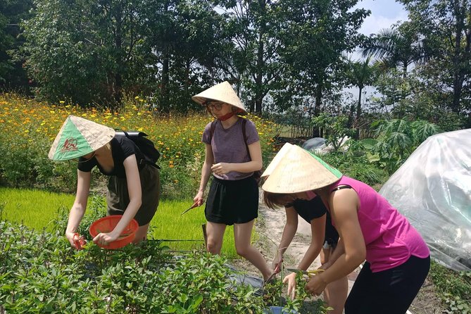 Farm-To-Table Healthy Cooking Class in Ho Chi Minh City - Your lunch is part of the lesson, not an afterthought