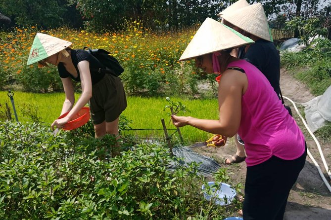 Farm-To-Table Healthy Cooking Class in Ho Chi Minh City - Equipment is included, so you can travel lighter