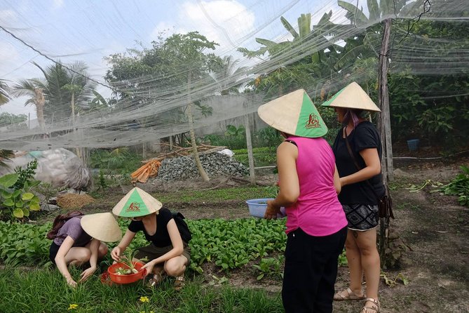Farm-To-Table Healthy Cooking Class in Ho Chi Minh City - Small group size keeps questions from getting lost