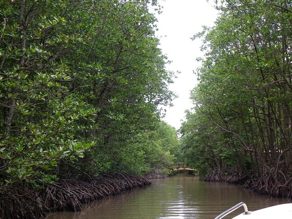 From Ho Chi Minh: Can Gio Trek – Monkey Island & Crocodile Farm - Why Can Gio Feels Like a Different Vietnam (Not Just a Tour Bus Stop)