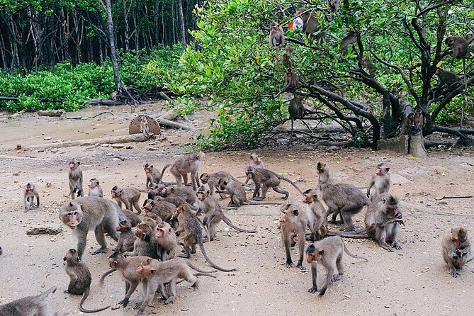 From Ho Chi Minh: Can Gio Trek – Monkey Island & Crocodile Farm - Monkey Island: How to Handle the Cheeky Side of Wildlife