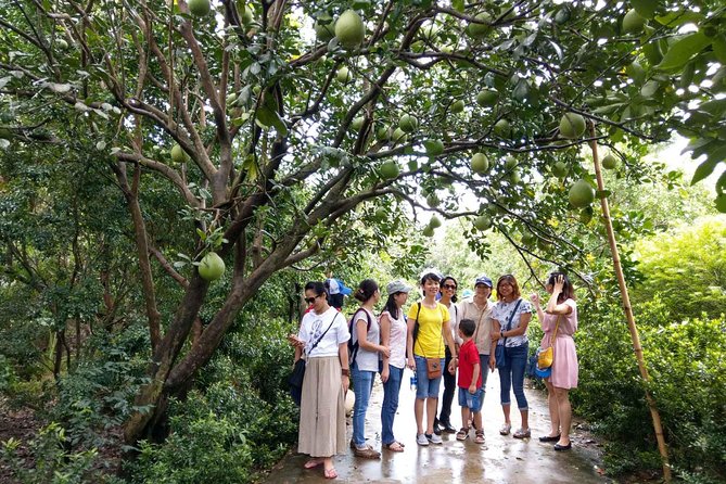 From Ho Chi Minh: Full-Day Mekong Delta Tour to My Tho & Ben Tre - Vinh Trang Pagoda: A Calm Cultural Stop Before the Mekong