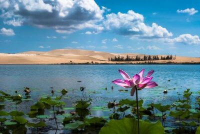 From Ho Chi Minh To Mui Ne Best Day Trip | Sunset Tour - Suoi Tien Fairy Stream: cold water, ankle-deep work, and color blocks