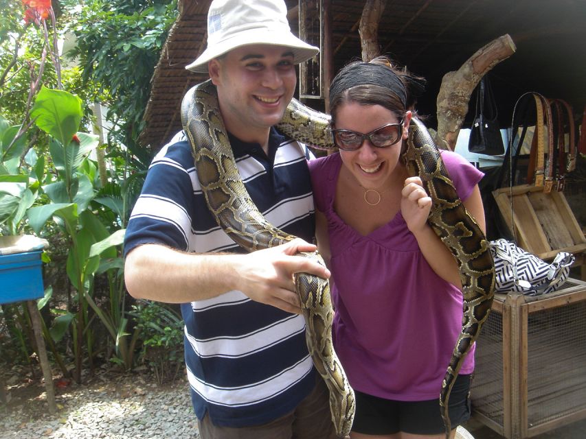 HCM: Mekong Delta, My Tho & Ben Tre Coconut Village - Unicorn Island: beekeeping, honey tea, and village-lane wandering