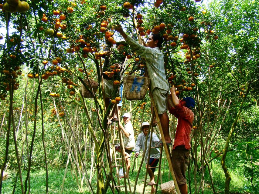 HCMC: Cai Rang Floating Market & Mekong Delta Private Tour - From Can Tho area to My Tho: the Mekong cruise and the island sequence
