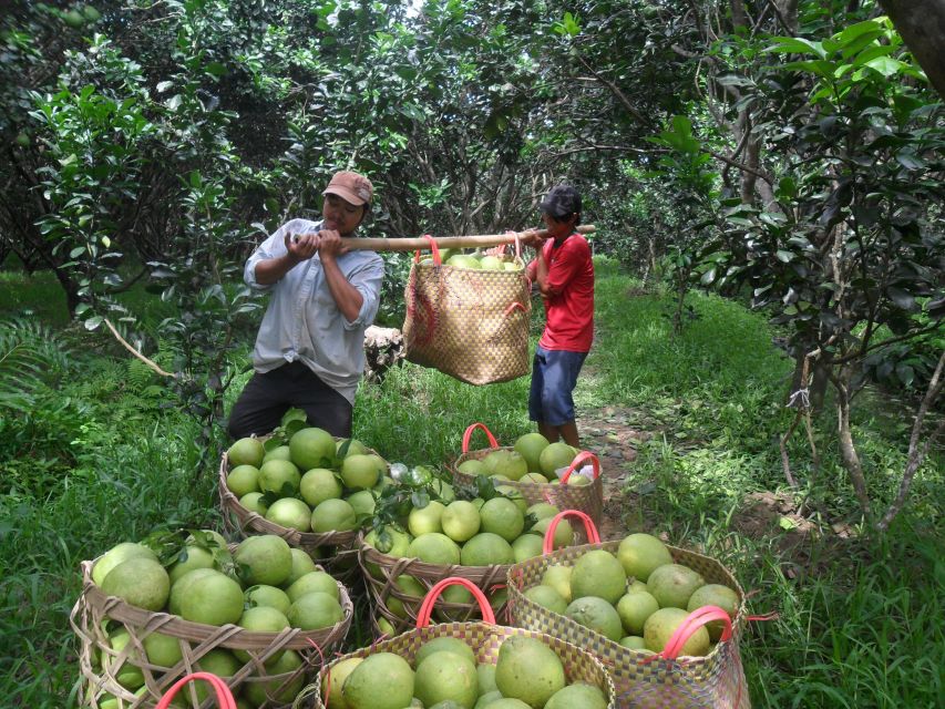 HCMC: Cai Rang Floating Market & Mekong Delta Private Tour - Price and value: why $140 can make sense on a private day