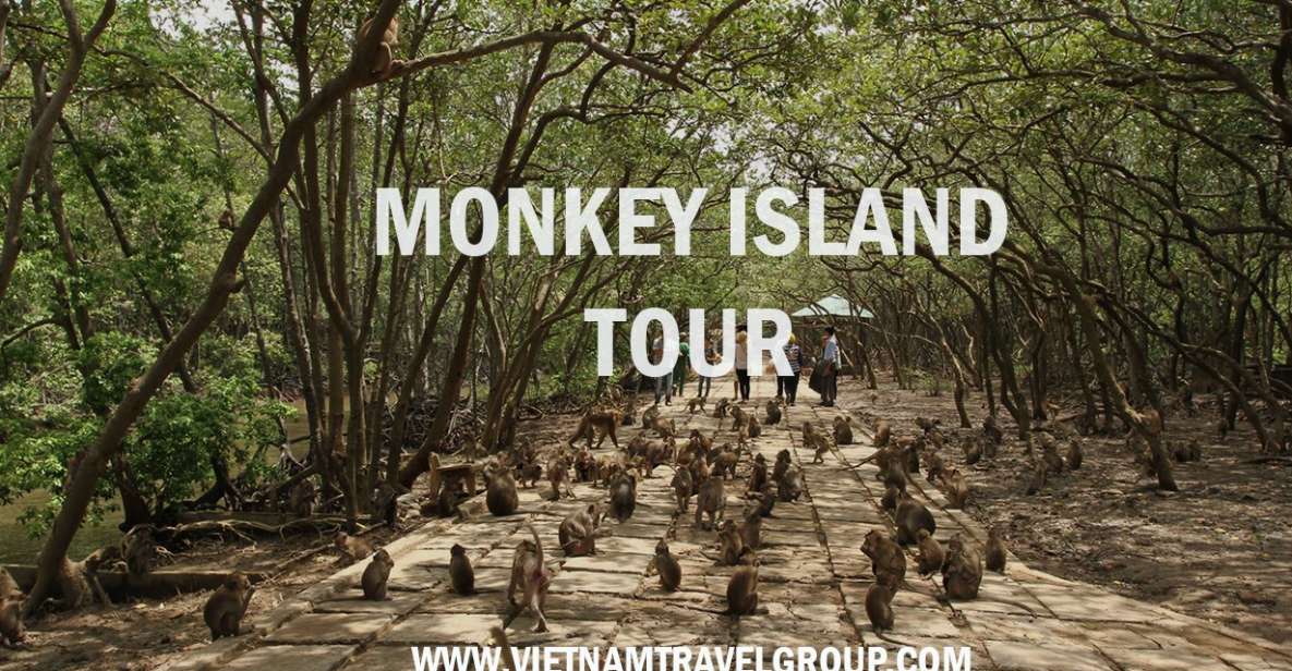 HCM:Can Gio Mangrove Forest Tour-Monkey Island - Key moments to plan around