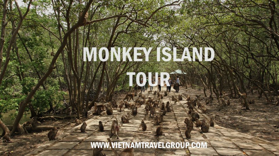 HCM:Can Gio Mangrove Forest Tour-Monkey Island - From Ho Chi Minh City to Cần Giờ: timing, comfort, and what you get for $37