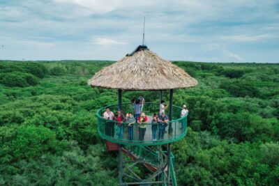 HCM:Can Gio Mangrove Forest Tour-Monkey Island - Monkey Island Cần Giờ: macaques up close, and why rules matter