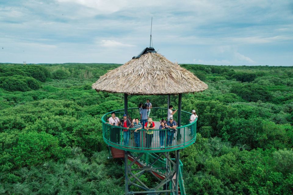 HCM:Can Gio Mangrove Forest Tour-Monkey Island - Monkey Island Cần Giờ: macaques up close, and why rules matter