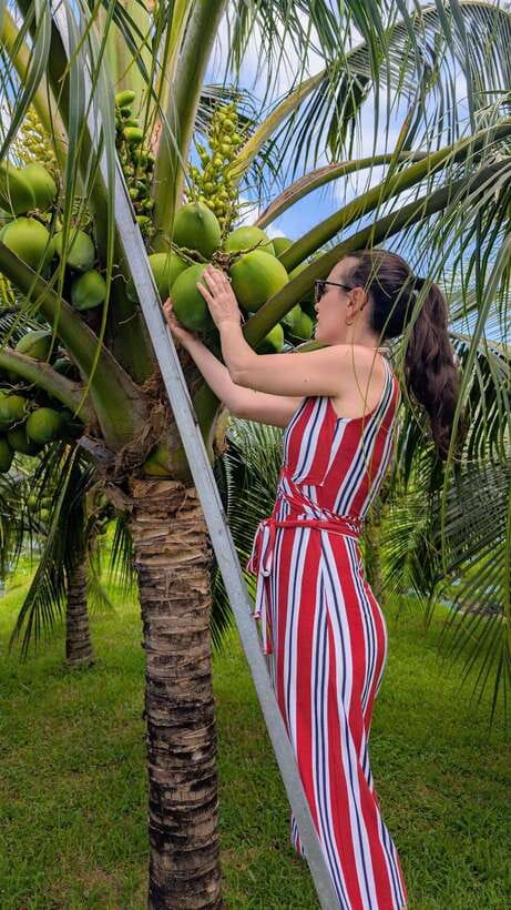 Ho Chi Minh: 1-Day Mekong Delta Tour-Floating Market & Islet - Cồn Sơn (Son Islet): Fish Farm, Koi Massage, and Monkey Bridges