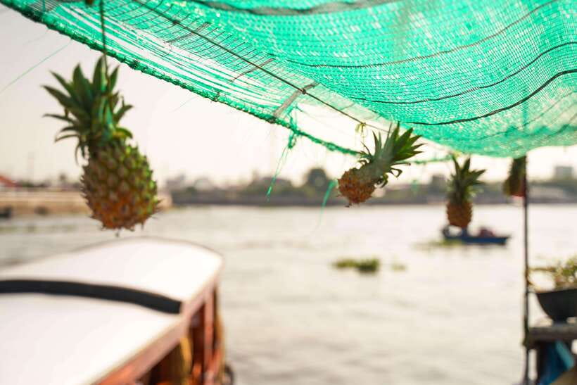 Ho Chi Minh: 3-Day Mekong Delta & Optional Exit to PhnomPenh - Logistics That Matter: Pickup, Timing, and What to Pack