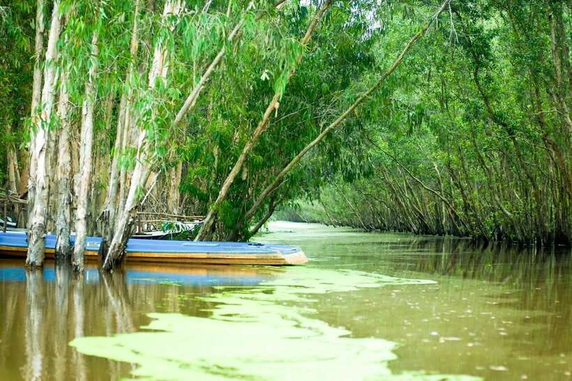 Ho Chi Minh: 3-Day Mekong Delta & Optional Exit to PhnomPenh - Who This Tour Fits Best (and Who Should Skip It)