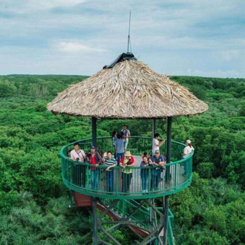Ho Chi Minh: Can Gio Mangrove and Monkey Island - Key things I’d circle before you go