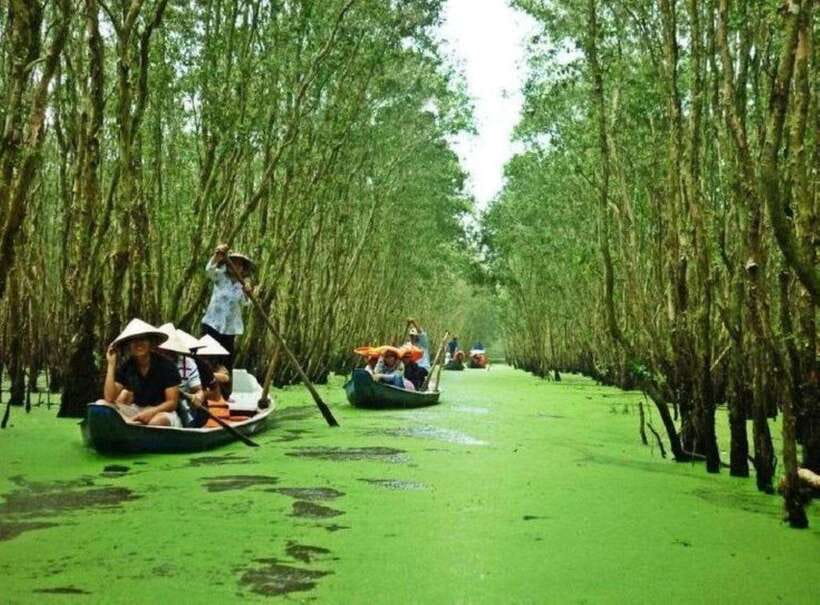 Ho Chi Minh: Can Gio Mangrove and Monkey Island - Monkey Island: feeding the residents of Can Gio