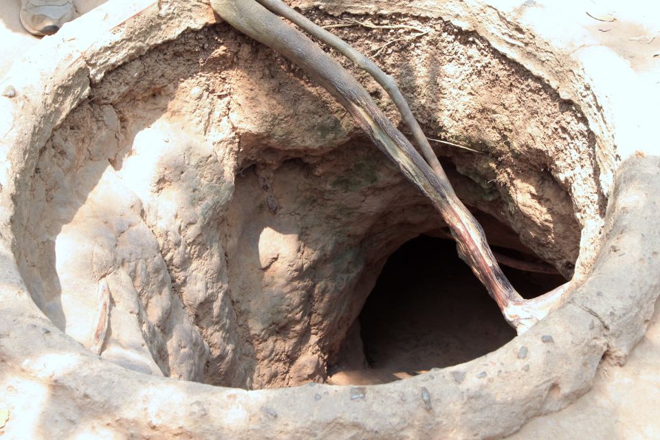 Ho Chi Minh City: Cu Chi Tunnels Morning or Afternoon Tour - Walking the Tunnel Complex Before You Crawl
