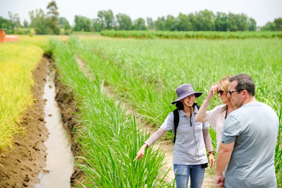 Ho Chi Minh City: Mekong Delta Full-Day Speedboat Tour - Lunch by chef, served with meaning