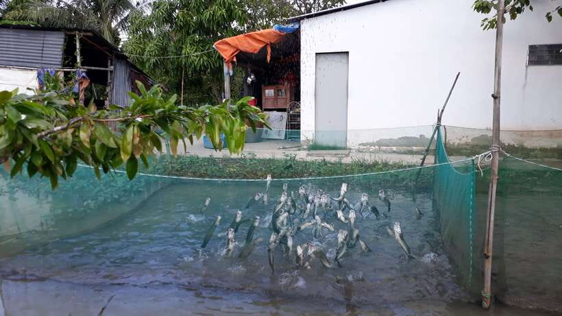 Mekong Day Tour by Car:Cai Be market, Local Island & Cycling - Stop by stop: what each visit teaches you