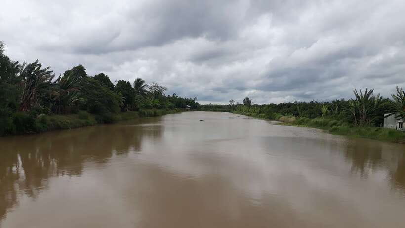 Mekong Day Tour by Car:Cai Be market, Local Island & Cycling - Back to Ho Chi Minh City by mid-afternoon
