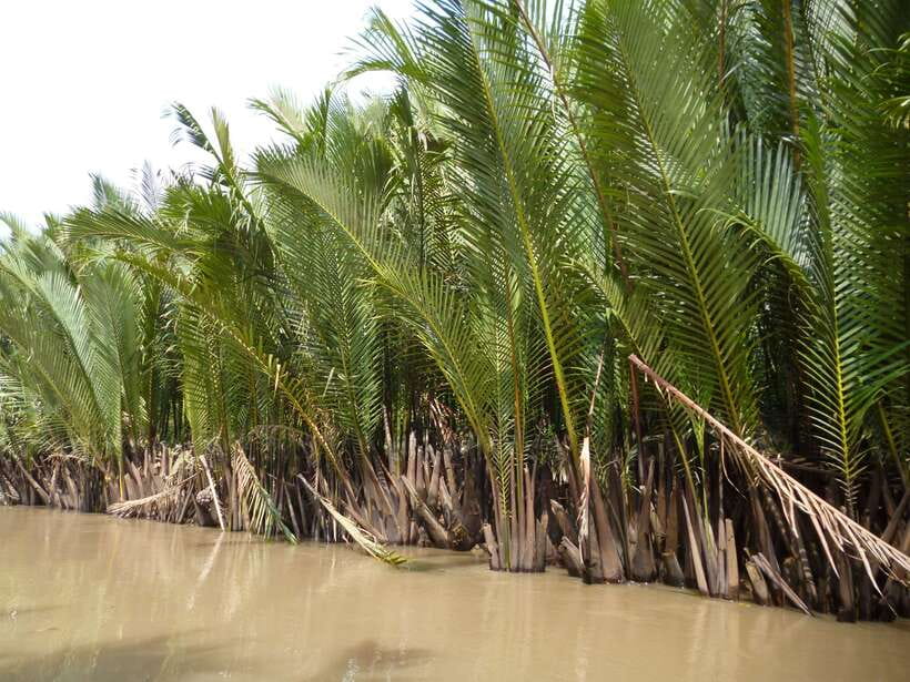 Mekong Day Tour by Car:Cai Be market, Local Island & Cycling - Guides: why Joy’s style seems to land well