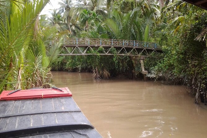 Mekong Delta Ben Tre Non-touristy Full-Day - VIP Private Tour - The morning transfer: rice views and the first rhythm shift