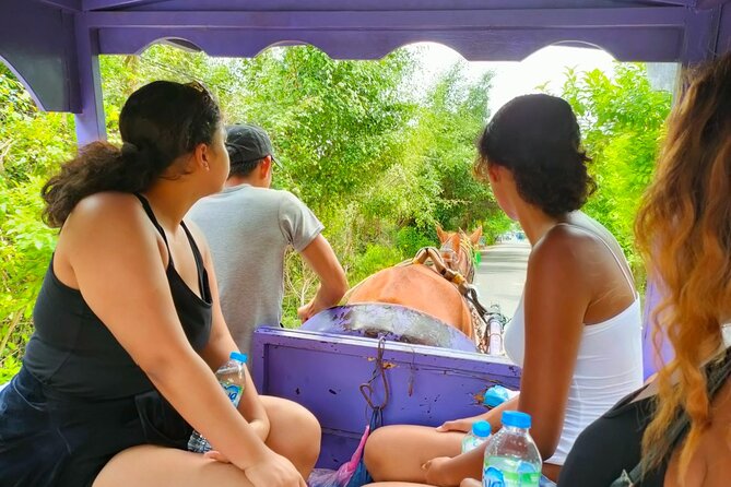 Mekong Delta Tour Daily - From Ho Chi Minh City to the Delta: how the day actually moves