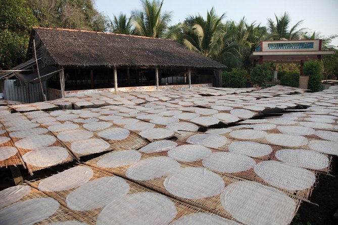 Mekong Delta Tour Full Day Cai Be-Vinh Long - Timing and comfort for a 10-hour day