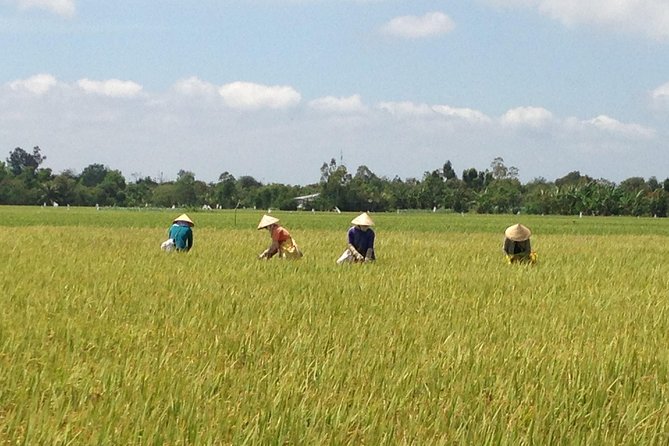 Private Authentic Mekong River Full Day Trip - Non Touristic Mekong delta - Why this Mekong Delta day feels different from the usual tours