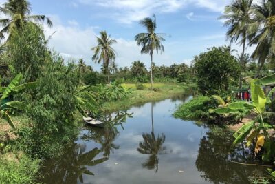 Private Authentic Mekong River Full Day Trip - Non Touristic Mekong delta - Paddies and fruit farms: the bike or scooter ride that makes it stick