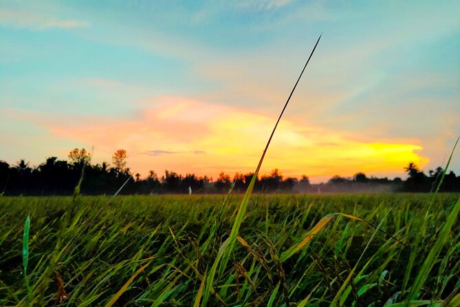 PRIVATE Mekong Delta 1 Day with Kayaking, Biking & Cooking - Getting out to My Tho–Ben Tre: the ride that sets the mood