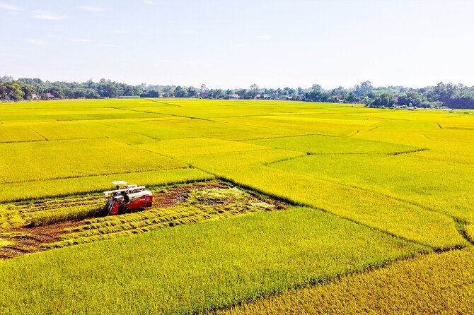 Standard 1 Day Cu Chi Tunnels & Mekong Delta - Getting from Ho Chi Minh City: comfort first, questions second